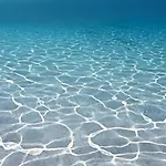 La Caracola *